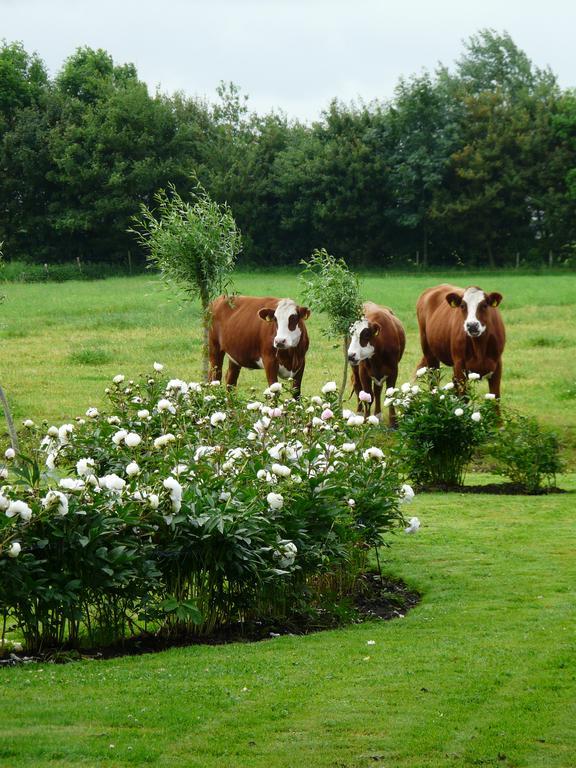 Landgoedlogies Pabema Bed & Breakfast Zuidhorn Exterior photo